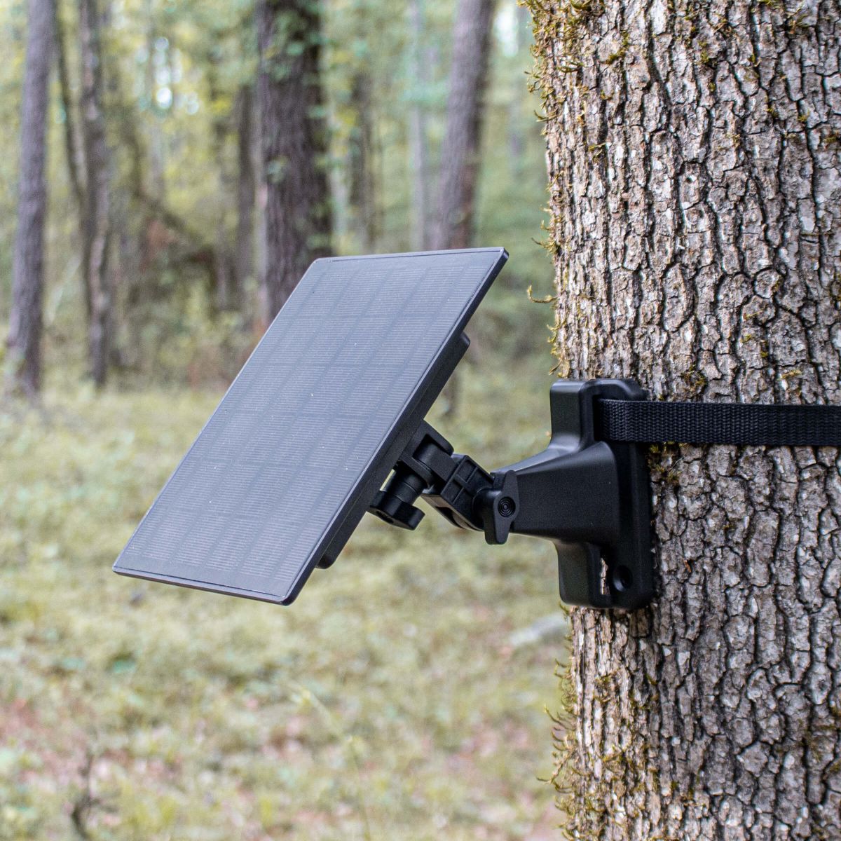 Solar-charger-trail-cam