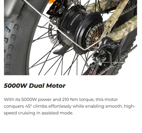 5000W Dual Motor